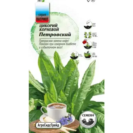 Семена овощей Агросидстрейд Патриот цикорий корневой Петровский цикорий bionova с имбирем 100 г