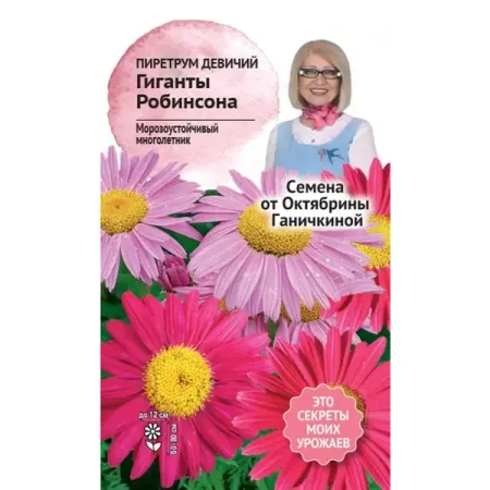 Семена цветов Семена от октябрины ганичкиной пиретрум девичий Гиганты Робинсона