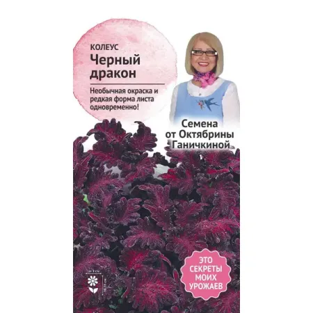 Семена цветов Семена от Октябрины Ганичкиной колеус Черный дракон 10 шт.