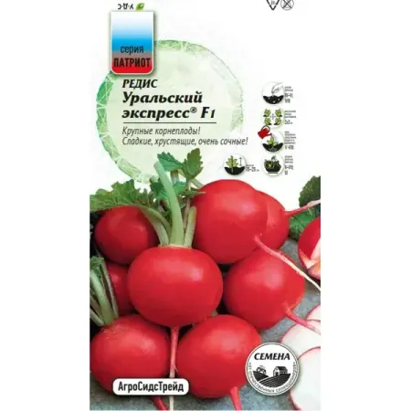 Семена овощей Агросидстрейд Патриот редис Уральский экспресс F1 семена редис рубин 6 г