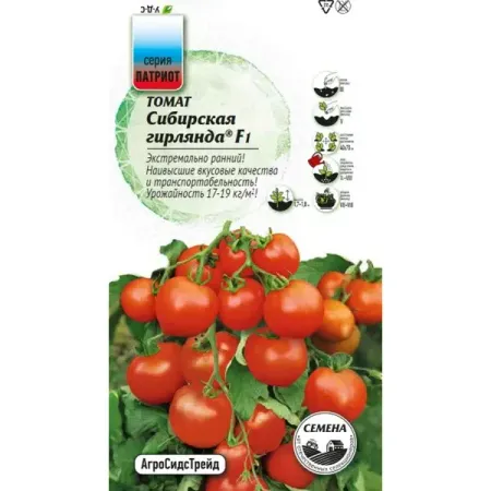 Семена овощей Агросидстрейд Патриот томат Сибирская гирлянда F1 бумажная гирлянда клевер 3 6 м parehope