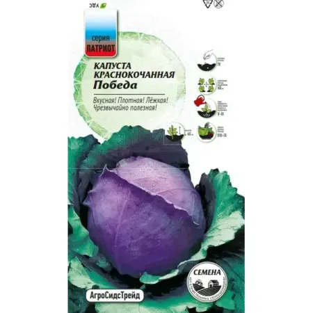 Семена овощей Агросидстрейд Патриот капуста краснокочанная Победа семена seminis капуста б к аммон f1