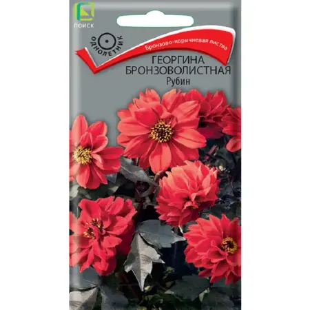 Семена цветов георгина бронзоволистная Рубин 10 шт семена редис рубин 6 г