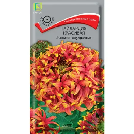 Семена цветов гайлардия красивая Лоллипап двухцветная
