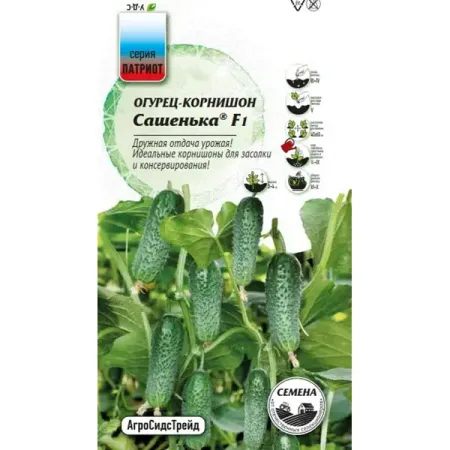Семена овощей Агросидстрейд Патриот огурец корнишон Сашенька F1