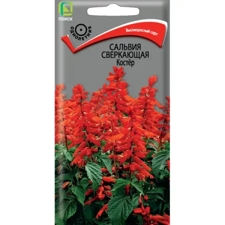 Семена цветов Поиск сальвия сверкающая Костер миниатюрный костер из смолы moonbiffy