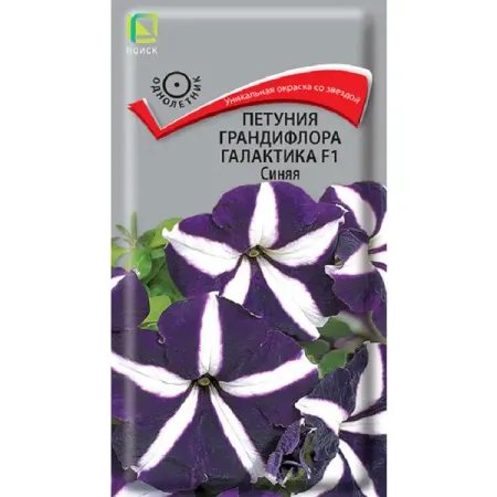 Семена цветов петуния грандифлора Галактика F1 синяя синяя керамическая чашка jianzhan teahouse cha teaware