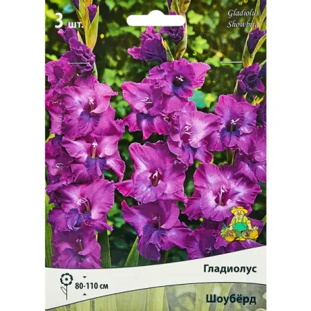 Гладиолус крупноцветковый Шоуберд, 3 шт. этикеток хрупкое обращаться осторожно 100 шт