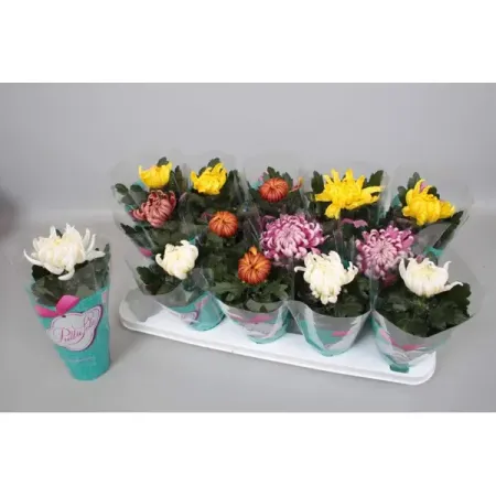 Хризантема Флауэр микс ø14 h35 см искусственные ы laurelchow шелк хризантема маргаритка кореопсис гербера