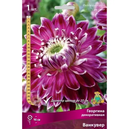 Георгина декоративная Ванкувер луковица I greathope washi tape декоративная лента с ами и листьями 10 м