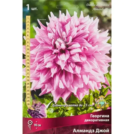 Георгина декоративная Алмандз Джой ная декоративная решетка для растений