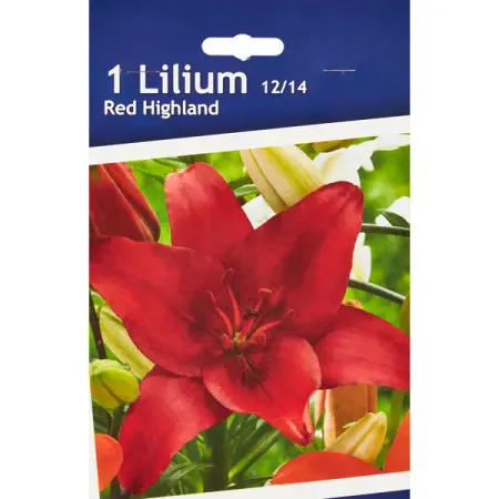 Лилия азиатская Ред Хайленд