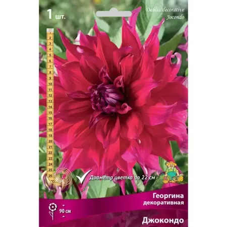 Георгина декоративная Джокондо луковица I greathope washi tape декоративная лента с ами и листьями 10 м