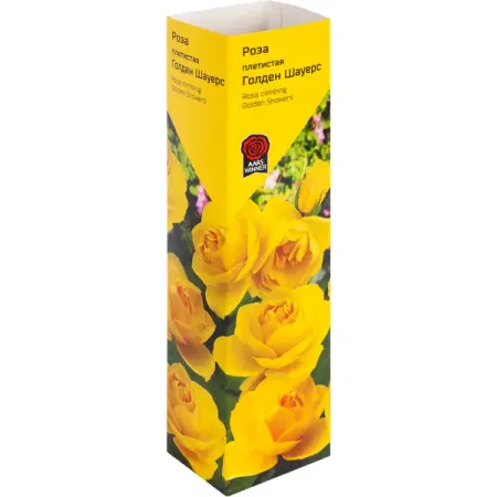 Роза «Плетистая» эконом спрей в ассортименте панавир инлайт спрей наруж фл 40 мл