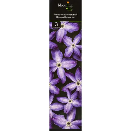 Клематис микс ø9.2 h36 см jrealmer точилных камней xebec 8 шт