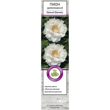Пион древовидный Белый Феникс h30 см памятная монета дракон феникс