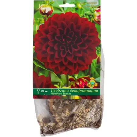 Георгины декоративные «Арабиан Найт», 1 шт. декоративные наклейки для альбома tiamech