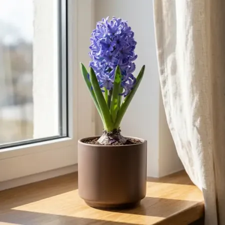 Гиацинт ø7 h15 см sunmade искусственный гиацинт фиолетовый