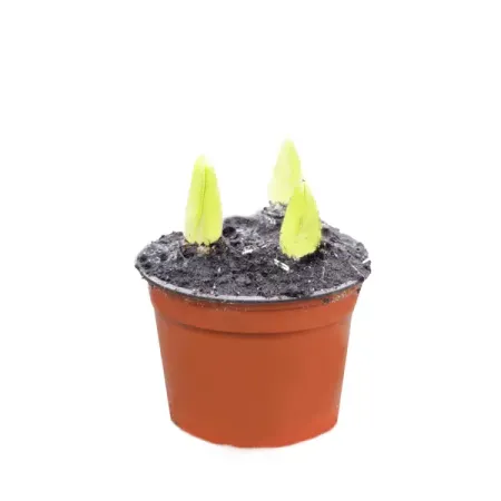 Гиацинт ø12 h35 см 3 шт.