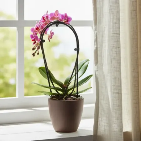 Фаленопсис Мини микс ø9 h35 см