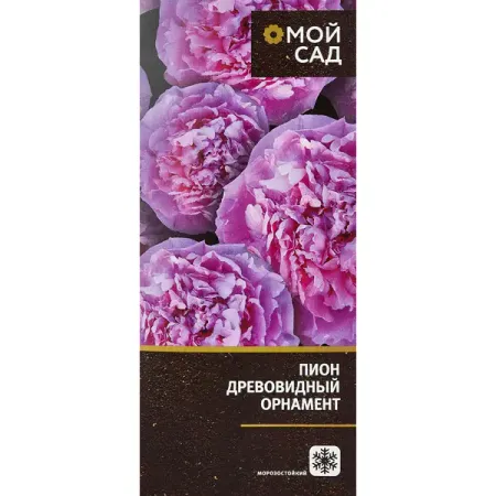 Пион древовидный микс ø9.2 h20 см