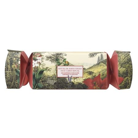 Набор средств для лица PAYOT Набор Christmas Cracker Surprises to Discover Face Cares Ritual велюровые наволочки red christmas pillowcases 40x40см