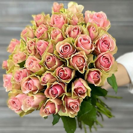 Букет живых цветов БУКЕТ МАРКЕТ ДАРИТЕ С УДОВОЛЬСТВИЕМ Букет из 33 зелено-розовых роз с лентой Кения 40 см букет живых ов 4 сезона монобукет из 15 ярко розовых роз