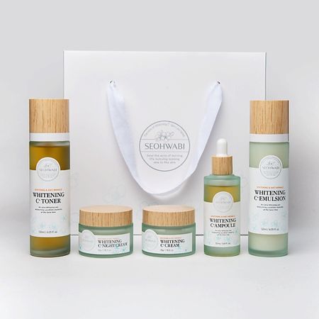 Набор средств для лица SEOHWABI Набор для ухода за кожей С+ силверио дерм пена спрей для ухода за кожей фл 125 гр