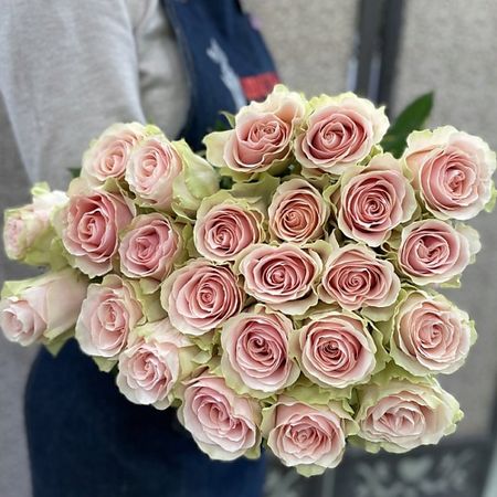Букет живых цветов ЦВЕТЫ ДЛЯ ВАС Роза кремово розовая 25 шт