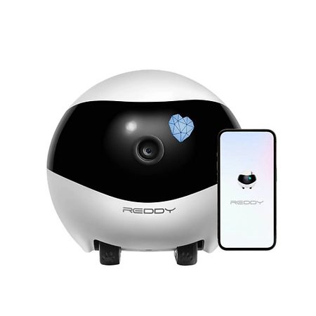 Камера RED SOLUTION Умный робот-друг REDDY SE умный keyyou для renault koleos clio keys