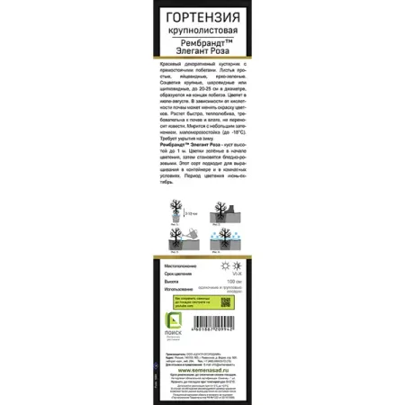 Гортензия крупнолистовая Рембрандт Элегант Роза ø5 h37 см гортензия метельчатая мэджикал килиманджаро ø17 h20 см