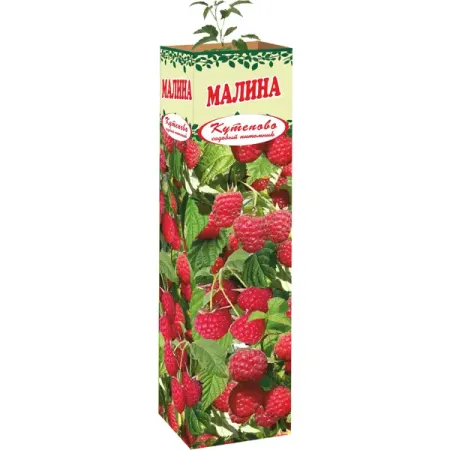 Малина 9x35 см