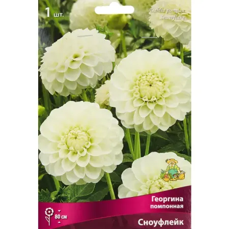 Георгина помпонная Сноуфлейк cyzq рождественские шары 6 шт 6 см