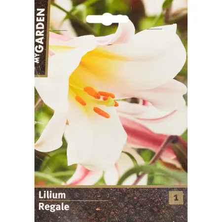 Лилия трубчатая Регале ampmart gzc9 f a 55 алюминиевая трубчатая розетка 9 pin для ламп 12ax7 12au7 5670 ecc82 ecc83