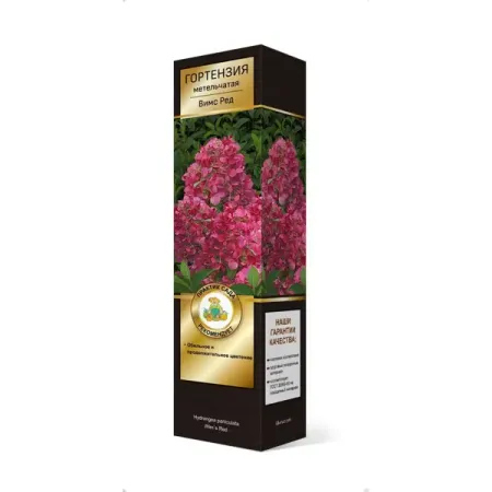 Гортензия метельчатая Вимс ред h37 см гортензия метельчатая жемчужина фестиваля ø17 h20 см