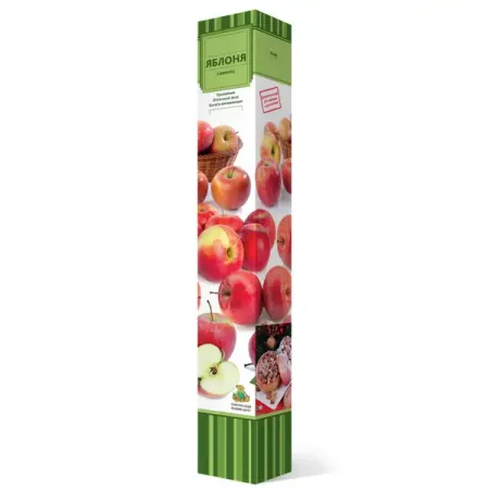 Яблоня Китайка Керр коробка h80 см