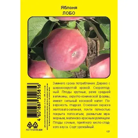Яблоня Лобо пакет h90 см