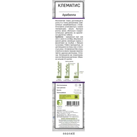 Клематис ботанический Арабелла ø5 h37 см