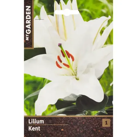 Лилия азиатская Кент искусственные лепестки роз summertree 100 шт