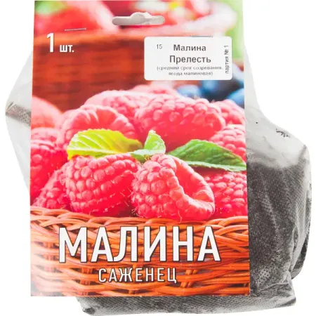 Малина Перспективные сорта Прелесть