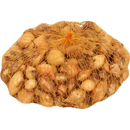 Лук-севок Стурон 21/24 мм 0.5 кг памятная золотистая монета сша 250 летия