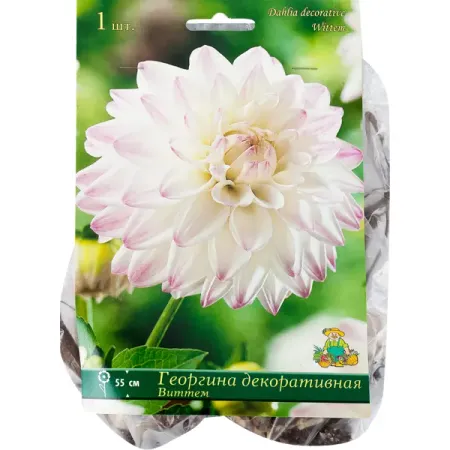 Георгины декоративные «Виттем», 1 шт. декоративные наклейки для альбома tiamech