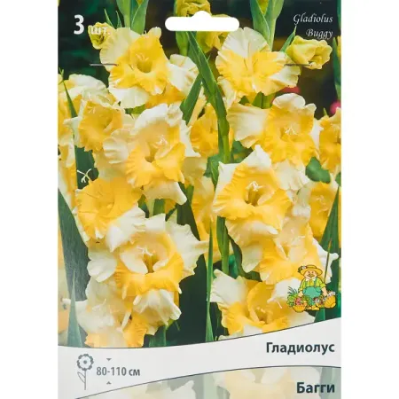 Гладиолус крупноцветковый Багги, 3 шт кулачковый шпиндель рулевой стойки подходит для китайских квадроциклов 110cc 150cc 200cc 250cc go kart багги utv запчасти для квадроциклов 1 пара 2 шт