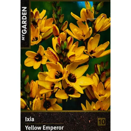 Иксия Йеллоу Имперор 40 мм искусственные листья эвкалипта ротанг 5 штук