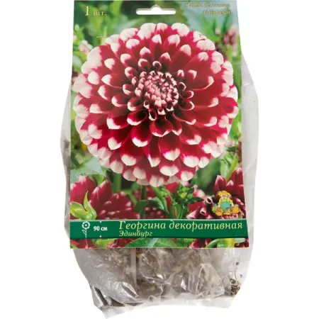 Георгины декоративные «Эдинбург», 1 шт. декоративные наклейки для альбома tiamech