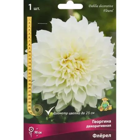 Георгина декоративная Флерел ная декоративная решетка для растений