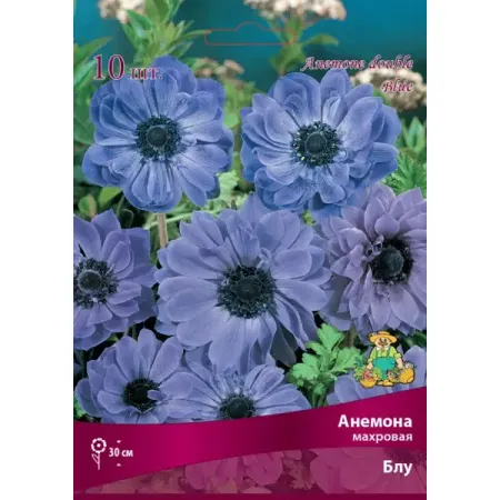 Анемона махровая Блу луковица 5/6 губка для купания mepsi махровая белая