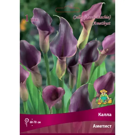 Калла Аметист 14/16, 1 шт кристалл аметист runyangshi