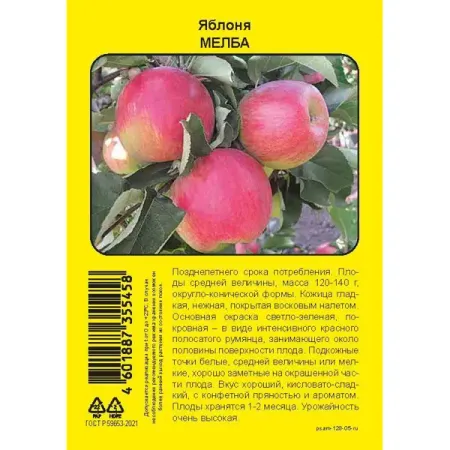 Яблоня Мелба пакет h90 см