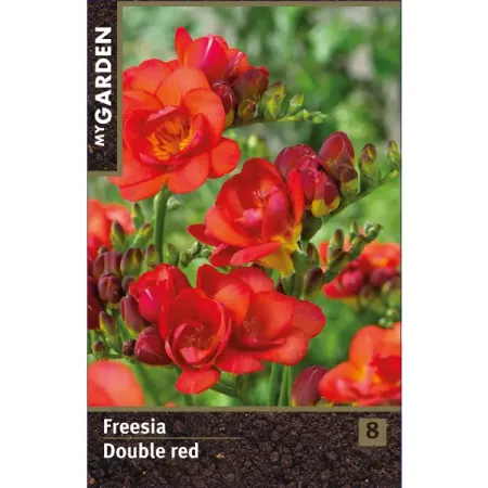 Фрезия махровая красная луковицы 5